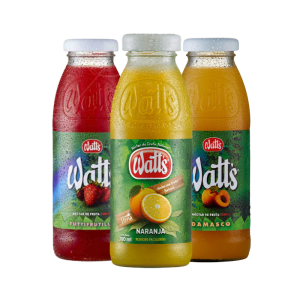 Jugos 300ml