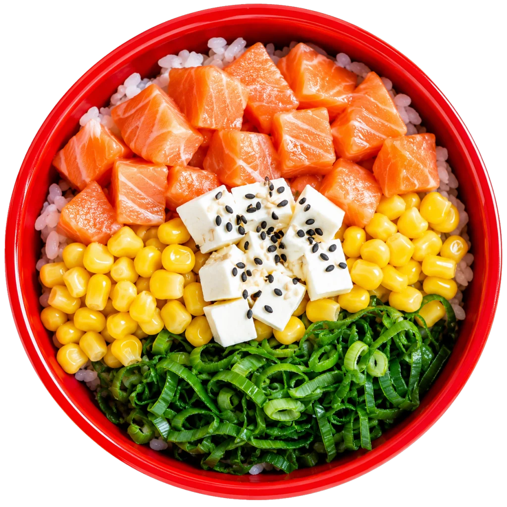 Gohan de Salmón