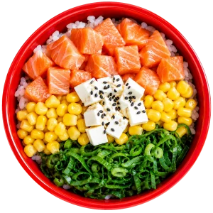 Gohan de Salmón